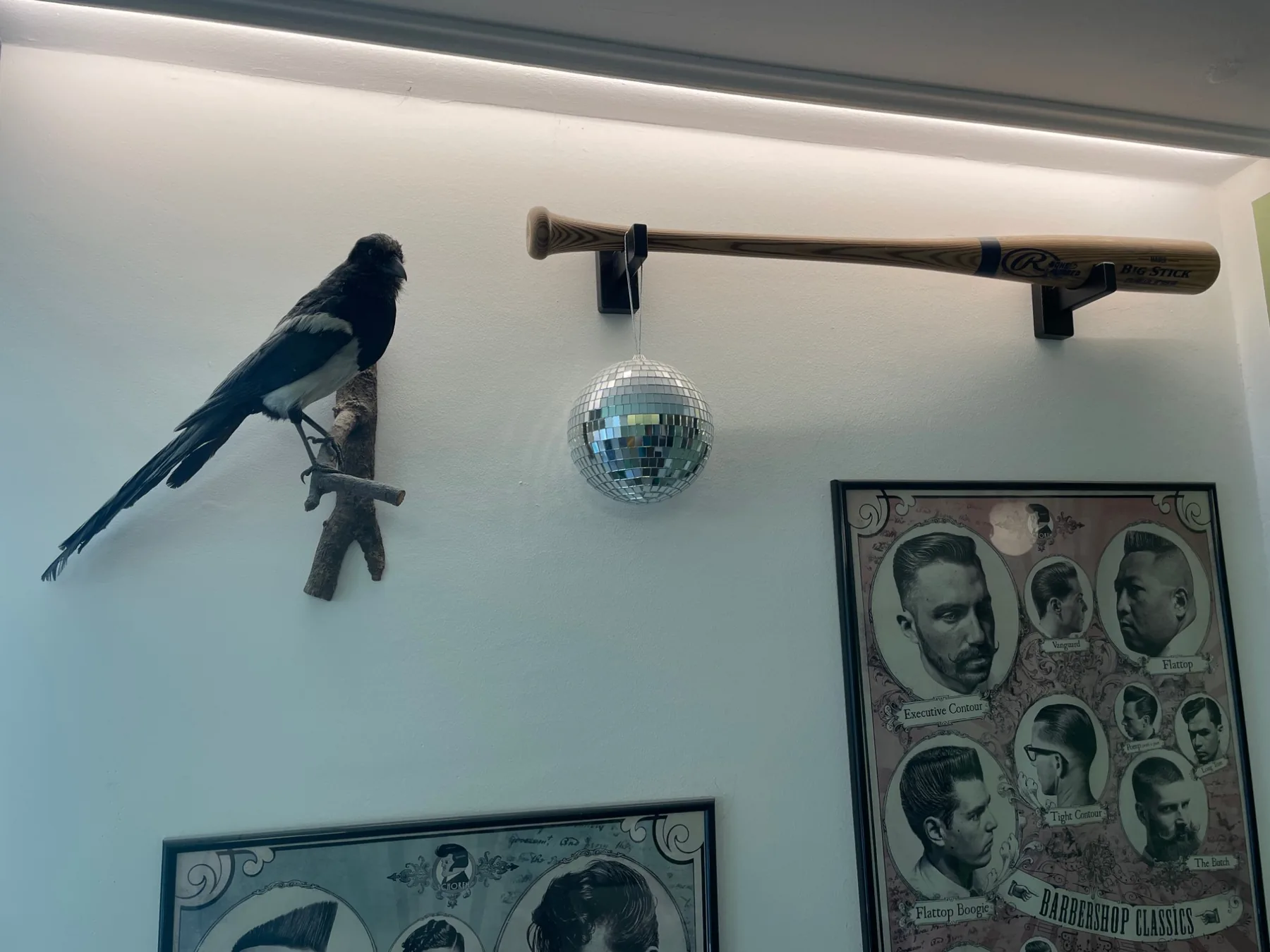 Praeparierte Elster, Baseballschlaeger und Discokugel unter der Decke des Barbershops